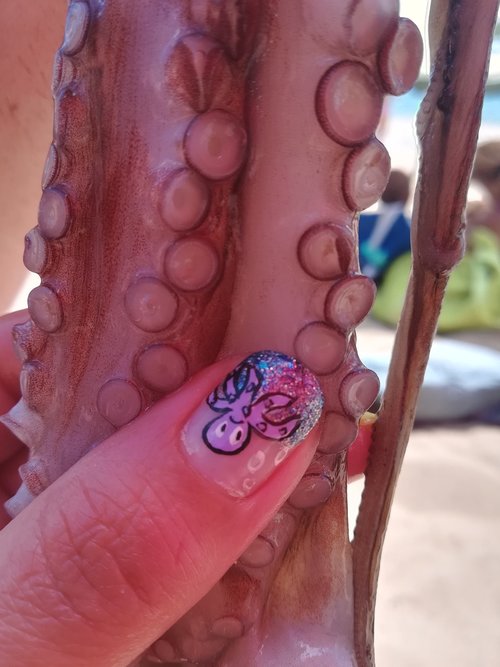 octopus  manicure  sea