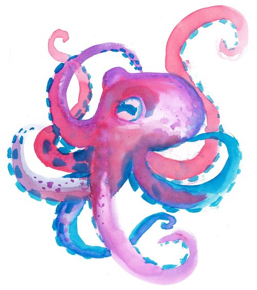 octopus  watercolor  children's