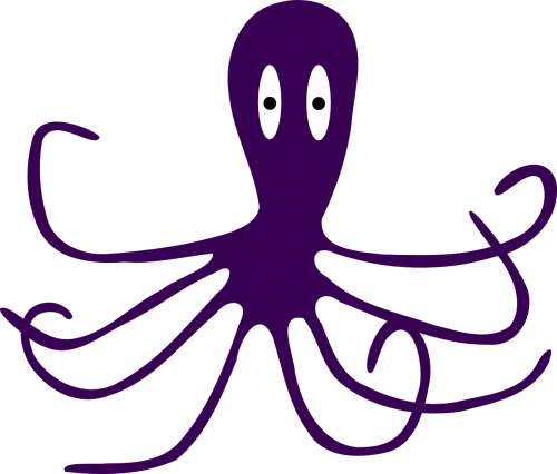 octopus purple ocean