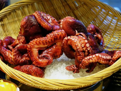 octopus seafood sea