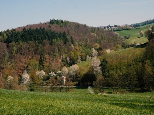 odenwald cultural landscape mixed forest