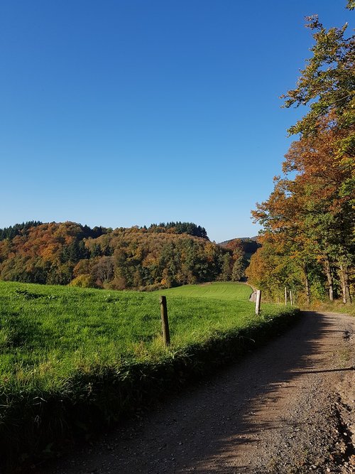 odenwald  sport  sun