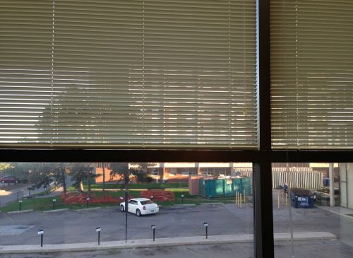 office window blinds