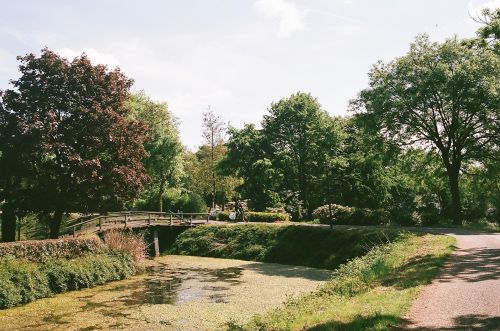 Garden With Bridge