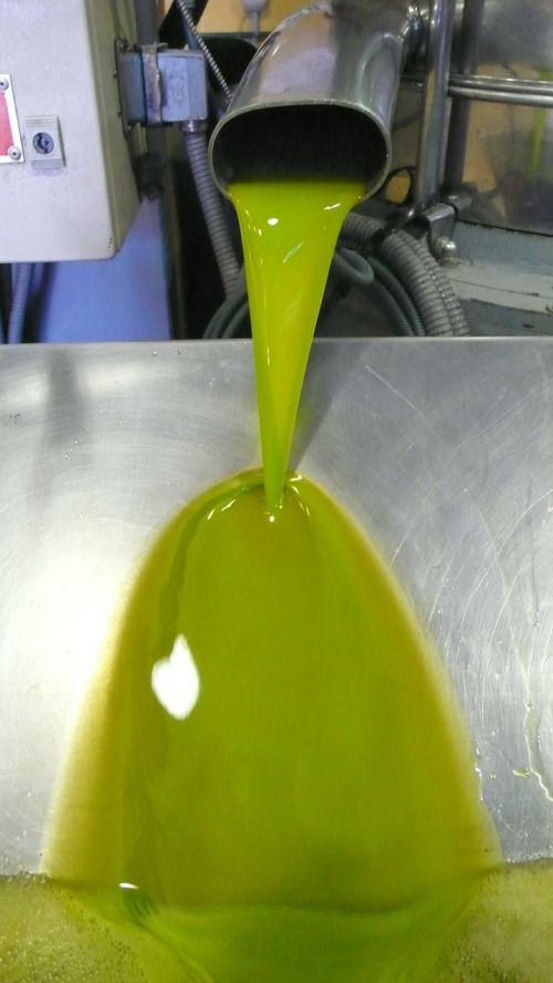 oil first pressure olive