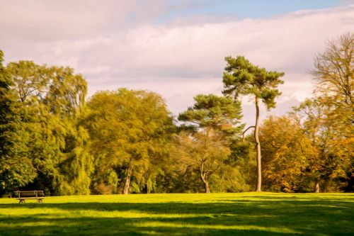 Oil Painting Park