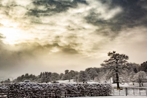 Oil Painting Winter Landscape