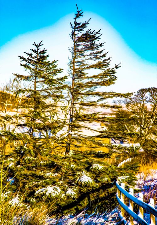 Oil Painting Winter Pine Tree