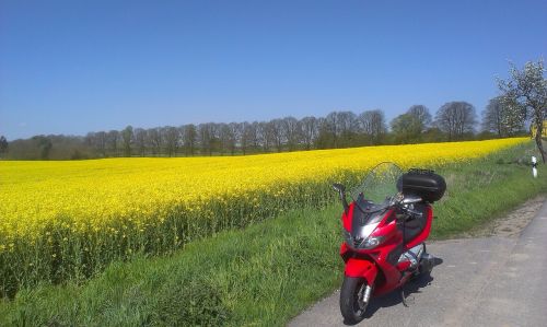 motorcycle oilseed rape field