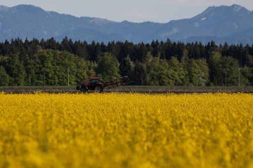 oilseed rape agricultural operation yellow