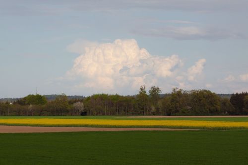 oilseed rape agricultural operation yellow