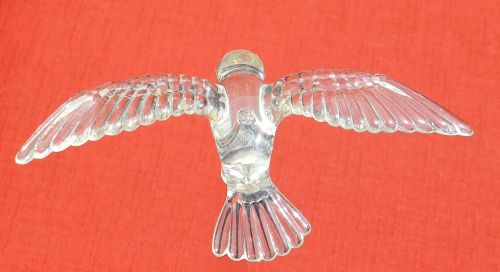 Bird Glass