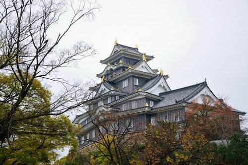 okayama  castle  trees