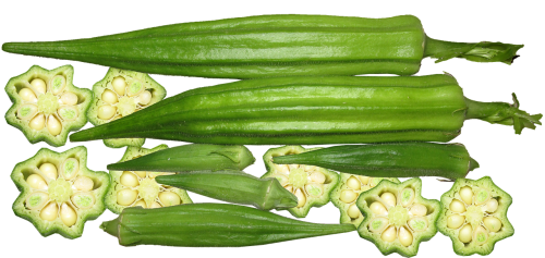 okra vegetable organic