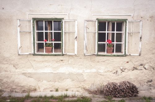 old window flowers