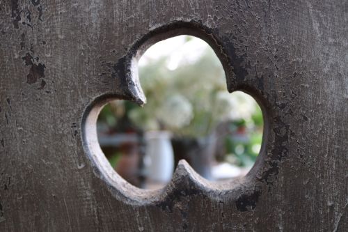 old wood closeup