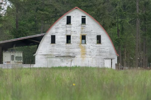 old  barn  white
