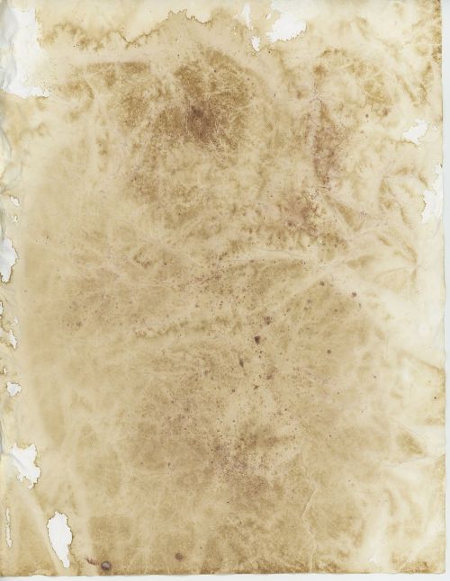 old parchment paper