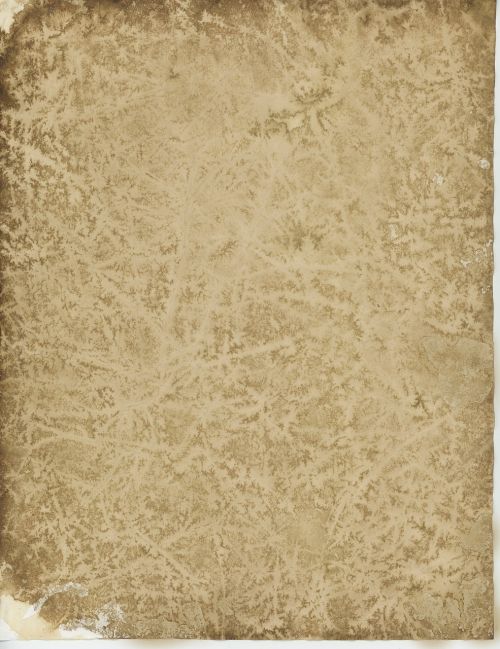 old parchment paper