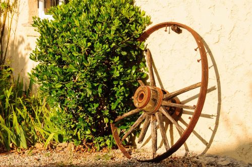 old wheel wagon wheel