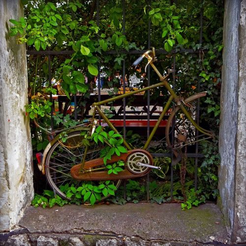 old bike rust