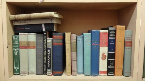 old books book shelf
