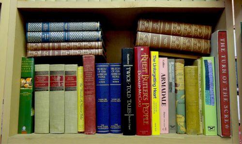 old books books book shelf