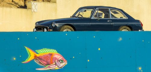 old car fish fantasy