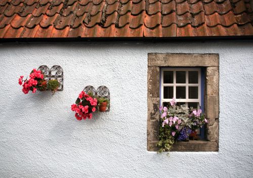 old cottage window flowers