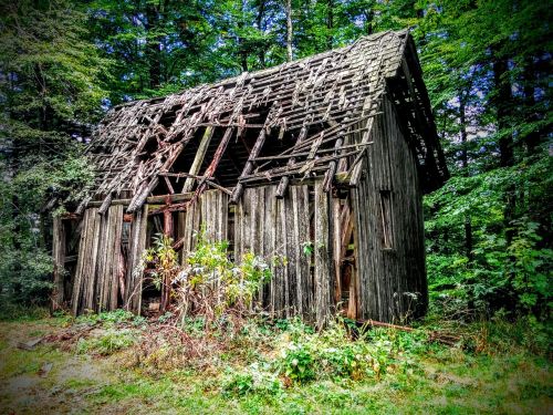 old cottage forest hut
