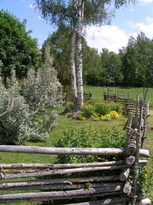 old fence sweden birch