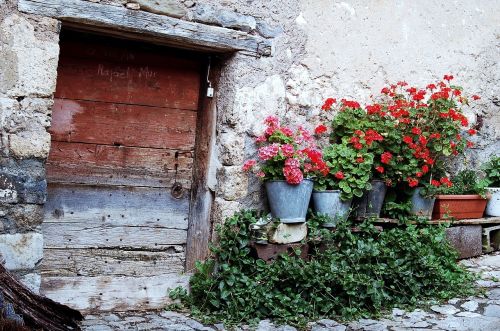 old house door flowers