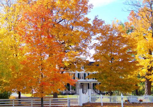 Old House In Autumn Trees