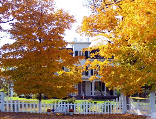 Old House In Autumn Trees