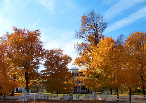 Old House In Autumn Trees