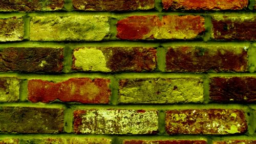 Old Olive Brick Wall