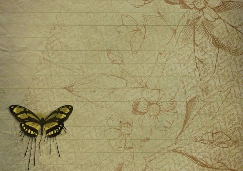 old page floral butterfly