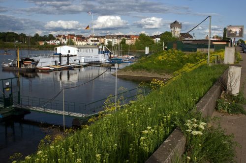 old rhine rhine mannheim