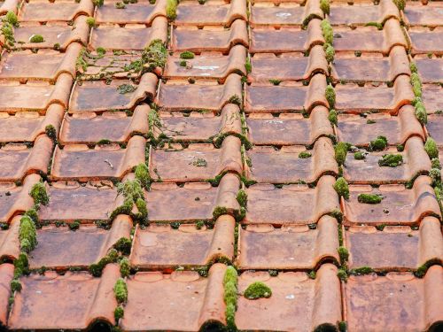 old roof roofing tiles barn