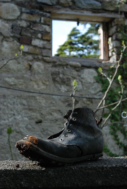 old shoe shoe garden