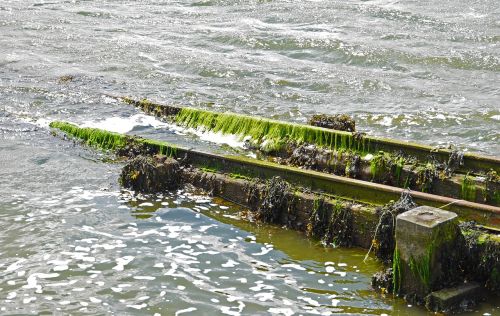 old slipway unused seaweed