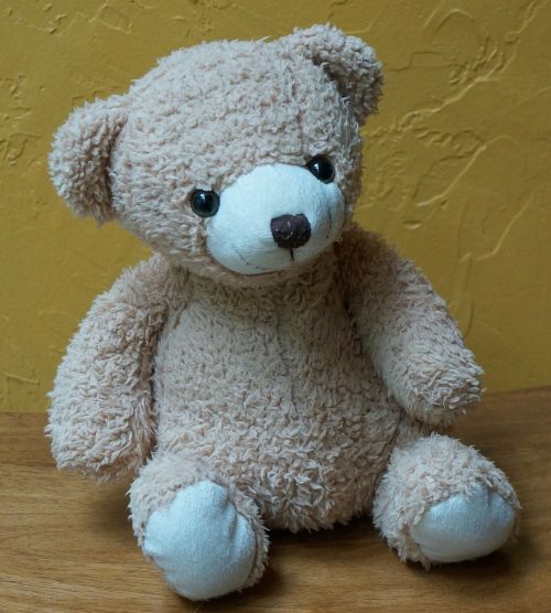 old teddy bear teddy bear toy