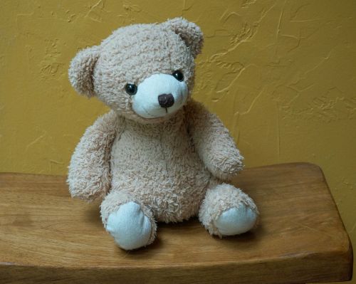 old teddy bear teddy bear toy