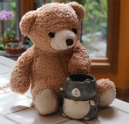 old teddy bear with mug teddy bear toy