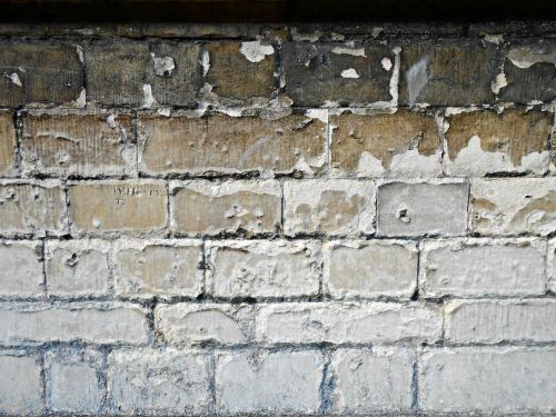 Old Wall Showing Bricks
