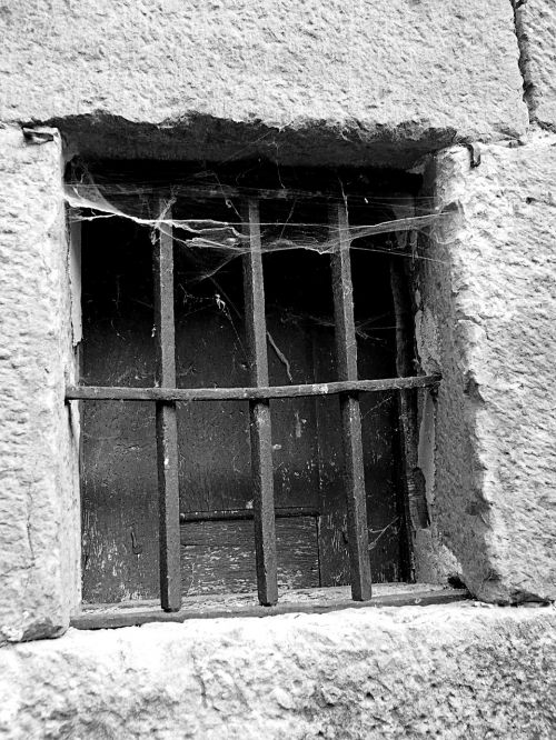 old window grating cobweb