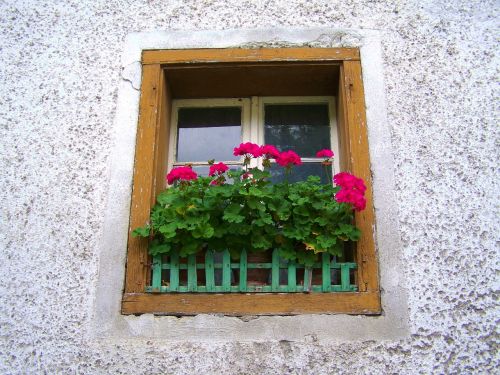 old window geranium old window old house