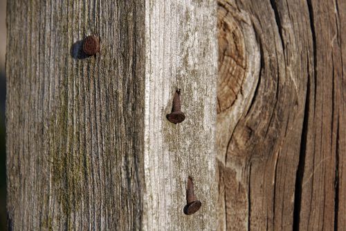 old wood rusty nails biga