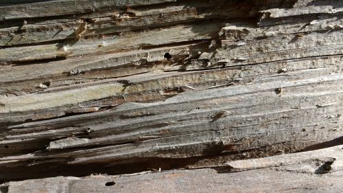 old wood fibers grain
