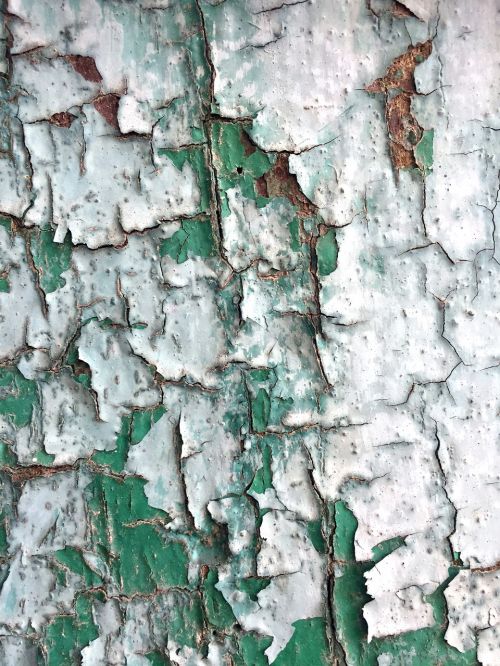 old wood painted texture